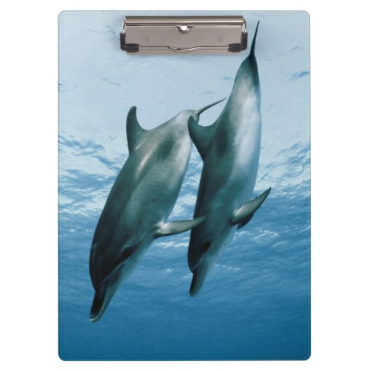 Porte-bloc Paire de dauphins (Devant)