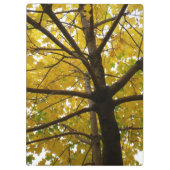 Porte-bloc Paire d'érables jaunes Nature d'automne (Dos)