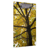 Porte-bloc Paire d'érables jaunes Nature d'automne (Swatch)