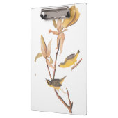 Porte-bloc Paire d'oiseaux de Paruline du Kentucky d'Audubon  (Gauche)