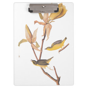 Porte-bloc Paire d'oiseaux de Paruline du Kentucky d'Audubon