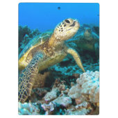 Porte-bloc Paires de tortue (Dos)