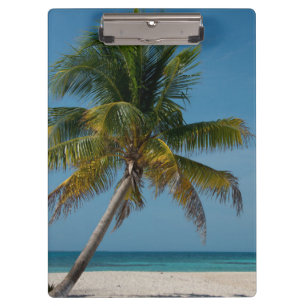 Porte-bloc Palmier et plage de sable blanc 2