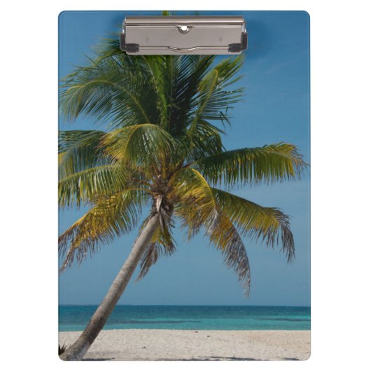 Porte-bloc Palmier et plage de sable blanc 2 (Devant)