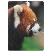 Porte-bloc Panda rouge (Dos)