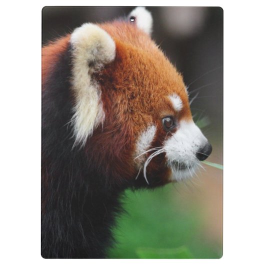 Porte-bloc Panda rouge (Dos)