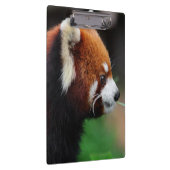 Porte-bloc Panda rouge (Swatch)