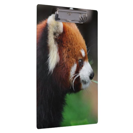 Porte-bloc Panda rouge (Swatch)