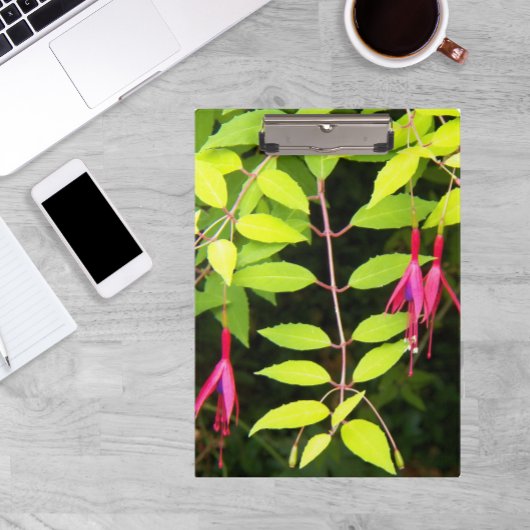 Porte-bloc Pansement rose Fuchsia Floral