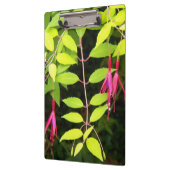 Porte-bloc Pansement rose Fuchsia Floral (Gauche)