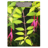 Porte-bloc Pansement rose Fuchsia Floral (Devant)