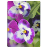 Porte-bloc Pansy (Dos)