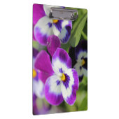 Porte-bloc Pansy (Swatch)