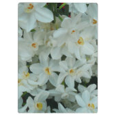 Porte-bloc Paperwhite Narcissus Fleurs blanches délicates (Dos)