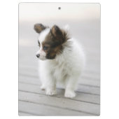 Porte-bloc Papillon (Dos)