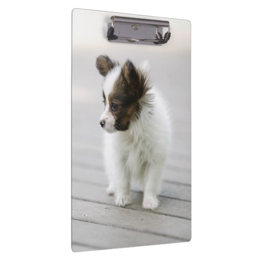 Porte-bloc Papillon (Swatch)