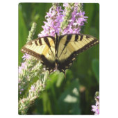 Porte-bloc Papillon à queue d'hirondelle sur des fleurs sauva (Dos)