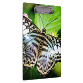 Porte-bloc Papillon Clipper Bleu (Swatch)