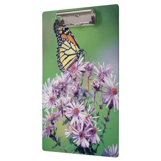 Porte-bloc Papillon de monarque (Gauche)