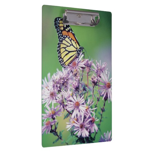 Porte-bloc Papillon de monarque (Swatch)