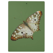 Porte-bloc Papillon exotique de Sainte-Lucie (Dos)