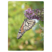 Porte-bloc Papillon Monarque sur papillon pourpre Bush (Dos)