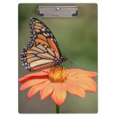 Porte-bloc Papillon Monarque sur une fleur d'orange (Devant)