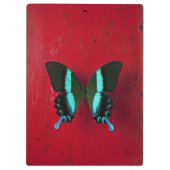 Porte-bloc Papillon noir et bleu (Dos)