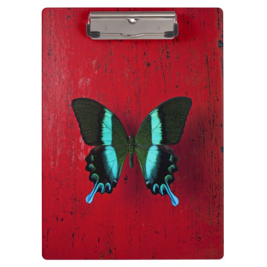 Porte-bloc Papillon noir et bleu (Devant)