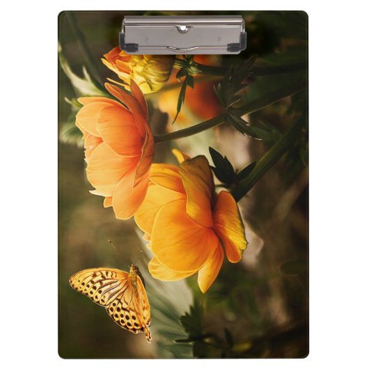 Porte-bloc Papillon orange et fleurs (Devant)