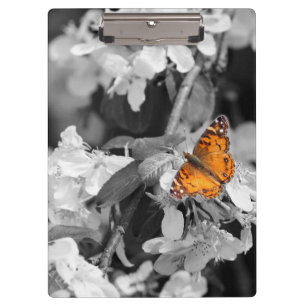 Porte-bloc Papillon orange sur Porte - bloc Apple Blossom
