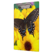 Porte-bloc Papillon Papilio polyxenes (Gauche)