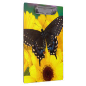 Porte-bloc Papillon Papilio polyxenes (Swatch)