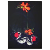 Porte-bloc Papillon personnalisé (Dos)