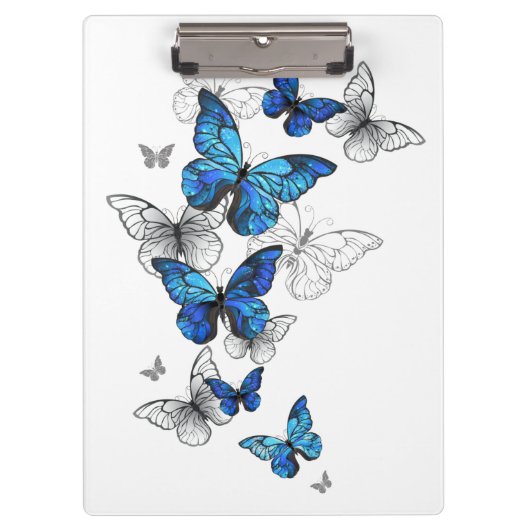Porte-bloc Papillons volants bleus Morpho (Devant)