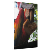 Porte-bloc Parrot Macaw Scarlet Manger Toast (Swatch)