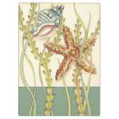 Porte-bloc Partie Shell multicolore (Dos)