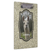 Porte-bloc Parties scintillant Champagne d'or Sparkle Llama P (Swatch)