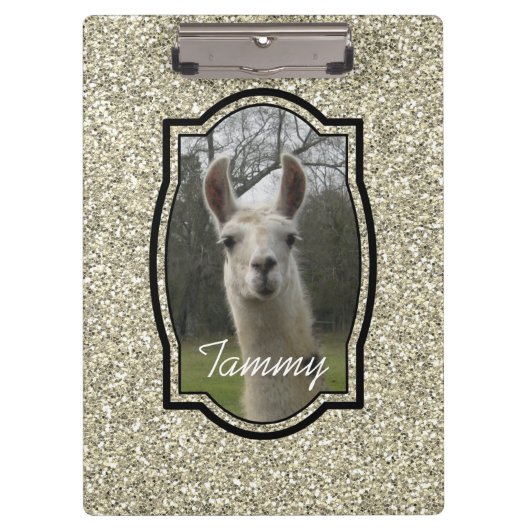 Porte-bloc Parties scintillant Champagne d'or Sparkle Llama P (Devant)