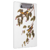 Porte-bloc Paruline carbonée Audubon Oiseau (Swatch)