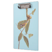 Porte-bloc Paruline de Swainson d'Audubon sur chêne Branche (Gauche)