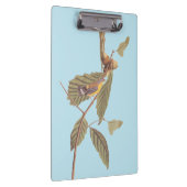 Porte-bloc Paruline de Swainson d'Audubon sur chêne Branche (Swatch)