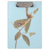 Porte-bloc Paruline de Swainson d'Audubon sur chêne Branche (Devant)