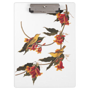 Porte-bloc Paruline jaune Songbirds sur Flower Crossvine