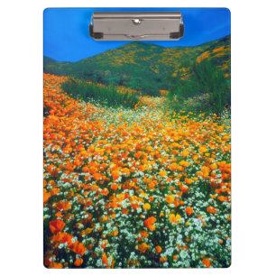 Porte-bloc Pavots de Californie et fleurs sauvages Popcorn