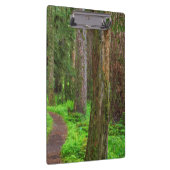 Porte-bloc Paysage de forêt ancienne (Swatch)