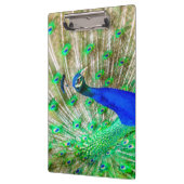 Porte-bloc Peacock Plumage (Gauche)