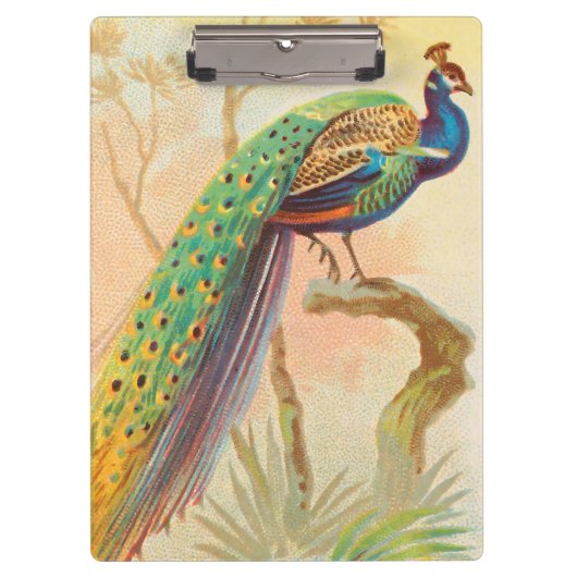 Porte-bloc Peacock vintage sur une branche (Devant)