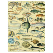 Porte-bloc Pêche scientifique vintage (Dos)