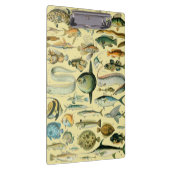 Porte-bloc Pêche scientifique vintage (Swatch)